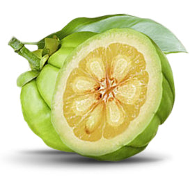 Garcinia Cambogia